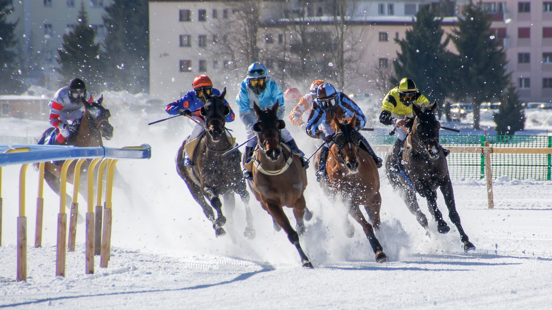 Equestrian Event - Professional photography service by Fotowaschbaer